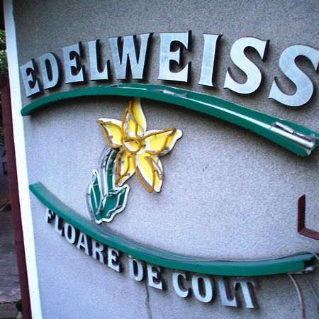 Pension Edelweiss Exteriér fotografie
