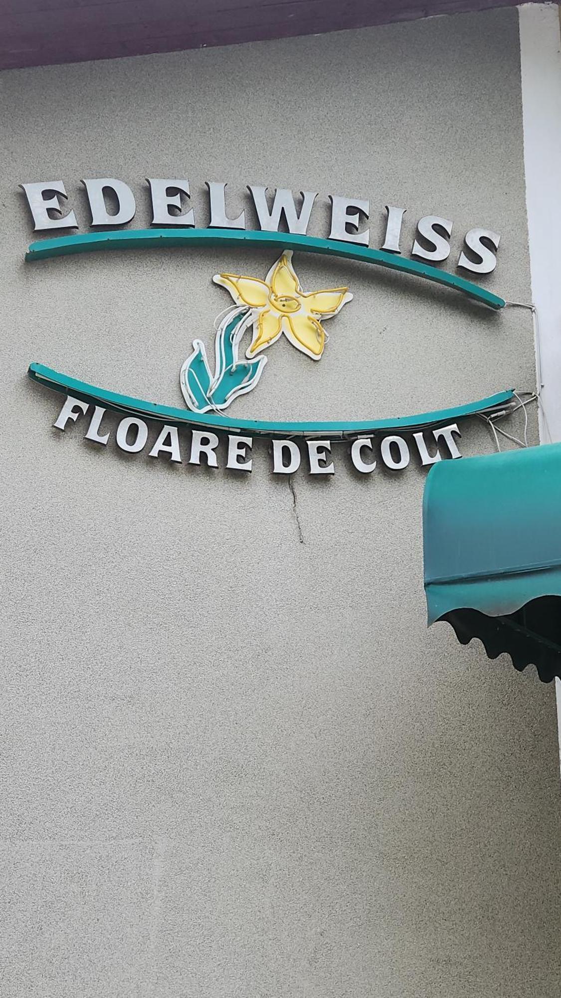 Pension Edelweiss Exteriér fotografie